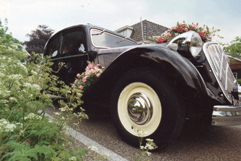 Una boda en el campo